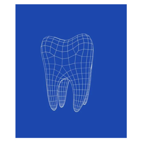 Umělecká fotografie 3D molar tooth, Boris SV, (35 x 40 cm)