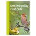 Krmíme ptáky v zahradě (po celý rok a přírodně) - Norbert Schäffer, Anita Schäffer - kniha z kat