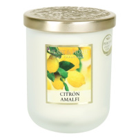 Velká svíčka - Citron Amalfi ALBI