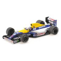 1:43 WILLIAMS RENAULT FW 18 World Champions