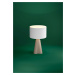 EGLO Stolní lampa TOLLERIC EGLO 390365