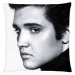 Polštář ELVIS PRESLEY 02 Mybesthome 40x40 cm Varianta: Povlak na polštář s antialergickou prošív