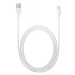 Kabel Apple USB-A - Lightning 1 m bílý (MXLY2ZM/A)