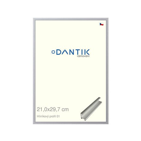 DANTIK rámeček 21 × 29,7, ALU profil 7001 Stříbrný matný sklo čiré