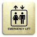 Accept Piktogram "emergency lift" (80 × 80 mm) (zlatá tabulka - černý tisk bez rámečku)
