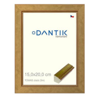 DANTIK rámeček 15 × 20, TOMAS zlatý sklo čiré