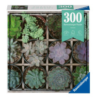 Ravensburger: Puzzle 300 ks - Moment 4