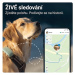 Tractive GPS DOG XL tracker polohy a aktivity pro psy zelený