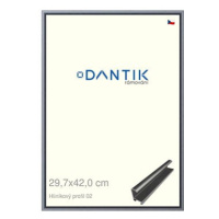 DANTIK rámeček 29,7 × 42, ALU profil 7002 Platina matný plexi čiré