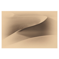 Umělecká fotografie Art of Sand I, Dianne Mao, (40 x 26.7 cm)