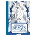 Fantastic Beasts and Where to Find Them (A Book of 20 Postcards to Colour) - kniha z kategorie B