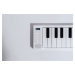 Carry-On Piano 88 - White