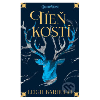 Tieň kostí - Leigh Bardugo - kniha z kategorie Beletrie pro děti