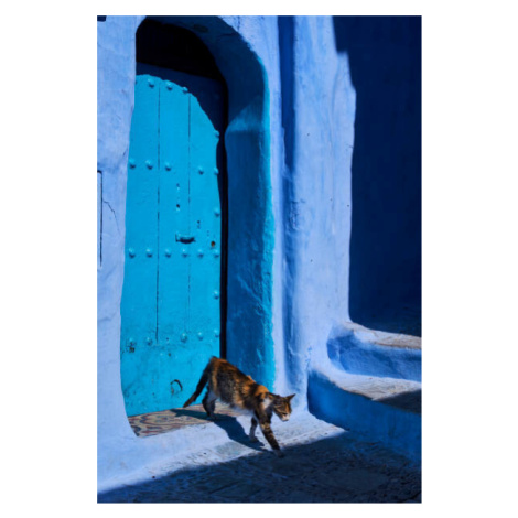 Umělecká fotografie Morocco, Chefchaouen town, the blue city,, Tuul & Bruno Morandi, (26.7 x 40 