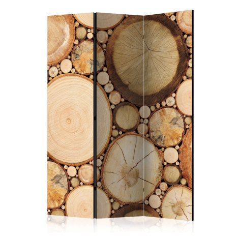 Paraván Wood grains Dekorhome 225x172 cm (5-dílný) Artgeist