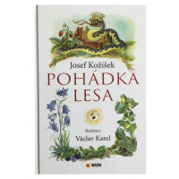 Pohádka Lesa J.Kožíšek,V.Karel