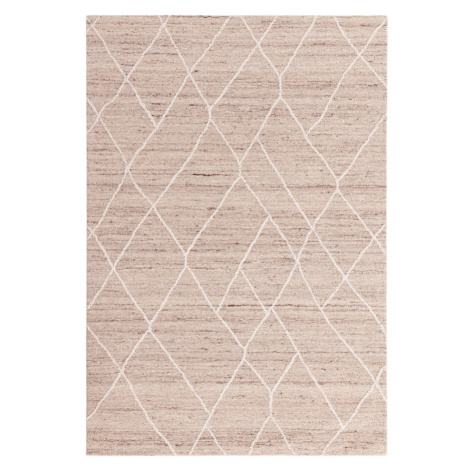 Béžový vlněný koberec 160x230 cm Noah – Asiatic Carpets