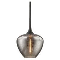 HUDSON VALLEY závěsné svítidlo WEST END kov/sklo bronz/kouřová E27 1x13W F7055-CE