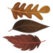 Fotografie Three brown fall leaves watercolor illustration, ToBeeLife, 40 × 40 cm