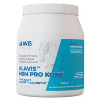 Alavis MSM pro koně 600g