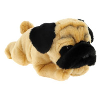 KEEL SD3090 - Podpis Forever štěně Mops 35 cm