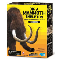 Skelet - Mamut