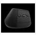 Logitech Wireless Mouse Lift for Business, graphite / black