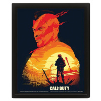 3D Obraz Call of Duty Sunset