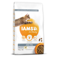 Iams Cat Adult Ind Chicken 10 kg