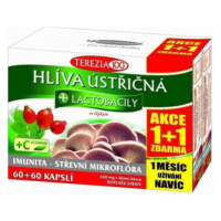 TEREZIA Hlíva ústřičná+lactob.cps.60+60 AKCE 1+1