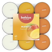 BOLSIUS Mango 260 g, 18 ks