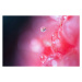 Fotografie Extreme close-up of raspberry, Ralf Hiemisch, 40 × 26.7 cm