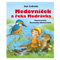 Medovníček a řeka Modrávka - Jan Lebeda