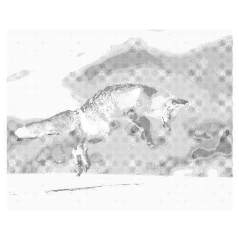 Tečkování - SKÁKAJÍCÍ LIŠKA Rozměr: 40x50 cm, Rámování: bez rámu a bez vypnutí plátna
