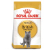 ROYAL CANIN British Shorthair granule pro britské krátkosrsté kočky 2 kg