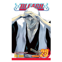 Bleach 20 - Tite Kub - kniha z kategorie Komiksy