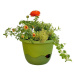 Samozavlažovací závěsný květináč Mareta, zelená, 25 cm, Plastia