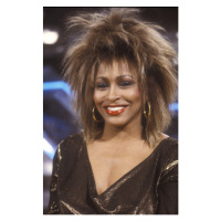 Fotografie Tina Turner, 1990, 26.7 × 40 cm