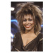 Fotografie Tina Turner, 1990, 26.7 × 40 cm