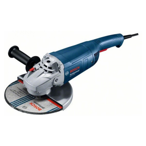 Bosch GWS 2200 Professional 06018C1120