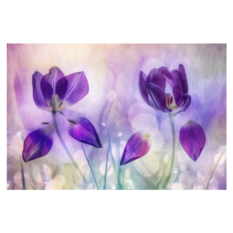 Fotografie Double purple, Hilda van der Lee, 40 × 26.7 cm