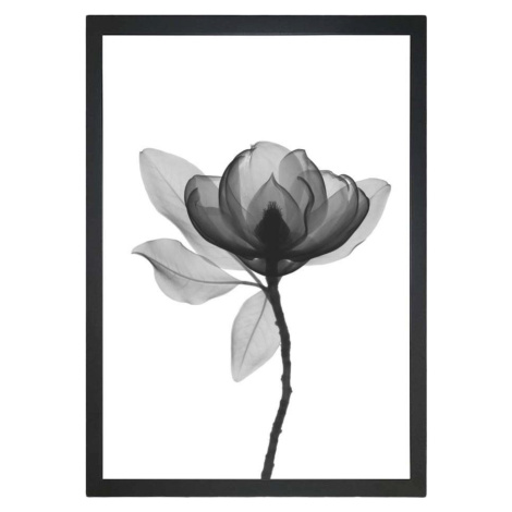 Plakát 24x29 cm Harmony Flower – Tablo Center Vavien Artwork