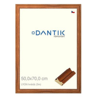 DANTIK rámeček 50 × 70, LYON hnědý plexi čiré