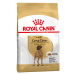 Royal Canin Great Dane Adult - 12 kg