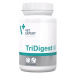 VetExpert TriDigest 40 tablet