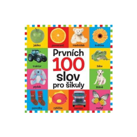 Prvních 100 slov pro šikuly Svojtka&Co.