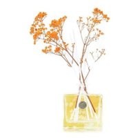 ASHLEIGH & BURWOOD Life In BloomOragne Blossom & Mandarin 150 ml