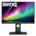 24" BenQ SW240