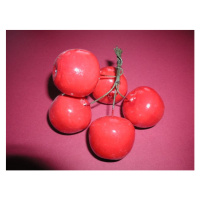 Jablko lakované - 5 ks - červené, rozměr 43 x 47