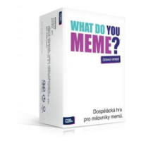 What Do You Meme